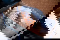 Boston Ma Tourism Hollywood