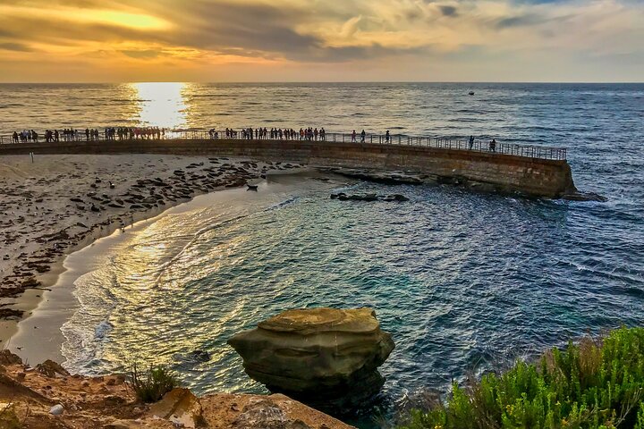 Ultimate La Jolla Self-Guided Combo Tour - thumb 3