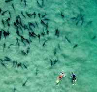 All Day Snorkel Package with Wetsuit Rental - Tourism Hollywood