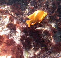 All Day Snorkel Package Rental - Tourism Hollywood