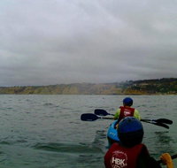 La Jolla Whale Watching Kayak Adventure - Tourism Hollywood