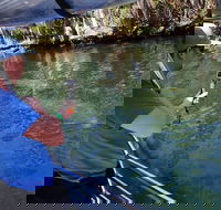 Manatee Viewing Cruise - Tourism Hollywood