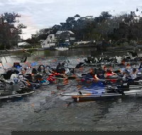 Clear Kayak Tour of Crystal River - Tourism Hollywood