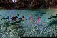 Crystal River Fl Tourism Hollywood