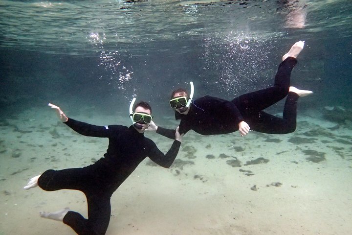 Crystal River Manatee Swim In Kings Bay National Wildlife Refuge - thumb 2