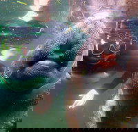 Private Manatee Tour - Tourism Hollywood