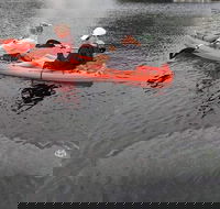 4 Hour Single Kayak Rental In Crystal River Florida - Tourism Hollywood