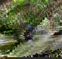 Clear Kayak Tours on Chassahowitzka River - Tourism Hollywood