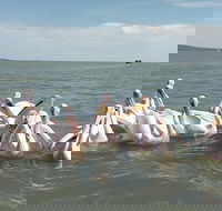 Full Bahir Dar Tour Lake Tana Monasteries and Blue Nile Fall - Tourism Hollywood