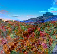 Adirondacks and Lake Placid Autumn Foliage Private VIP Boutique Day Trip - Tourism Hollywood