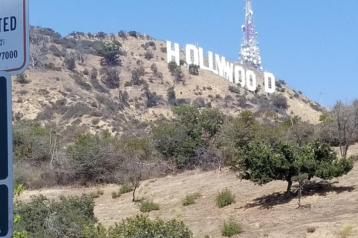 Half Day Hollywood And Beverly Hills Tour